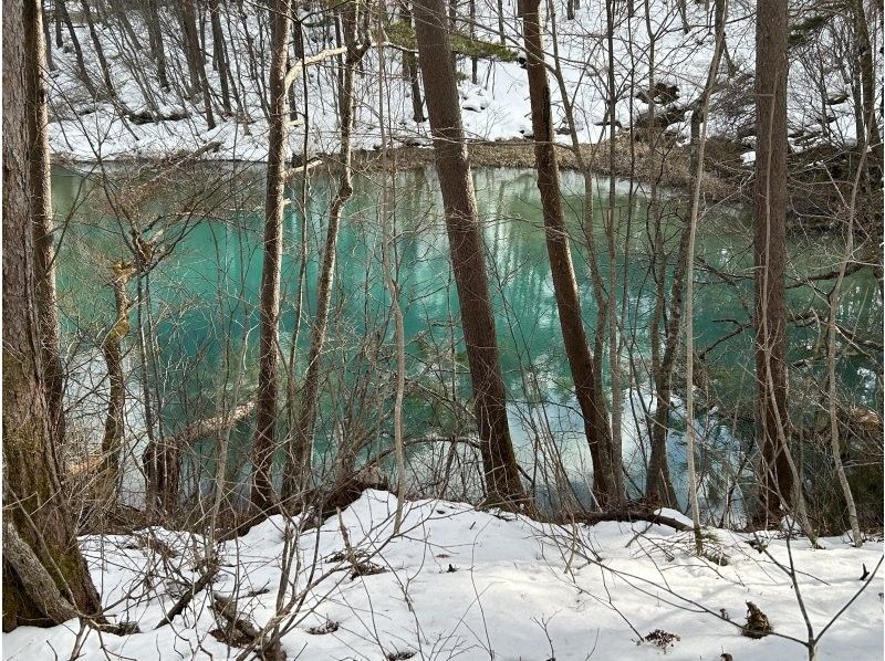 ナチュラルビズ(Natural Biz) のギャラリー