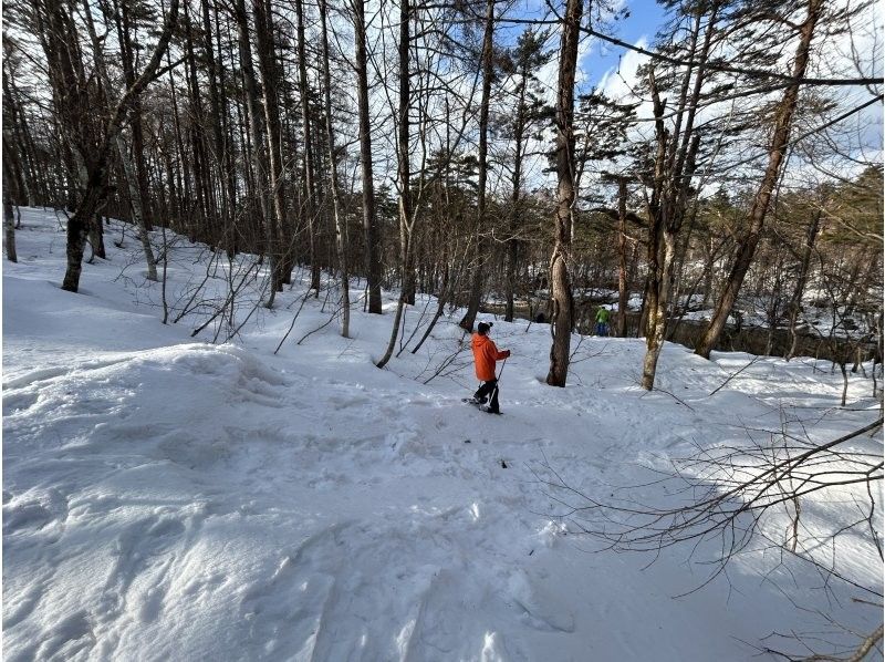 ナチュラルビズ(Natural Biz) のギャラリー