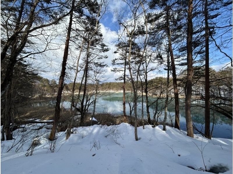 ナチュラルビズ(Natural Biz) のギャラリー