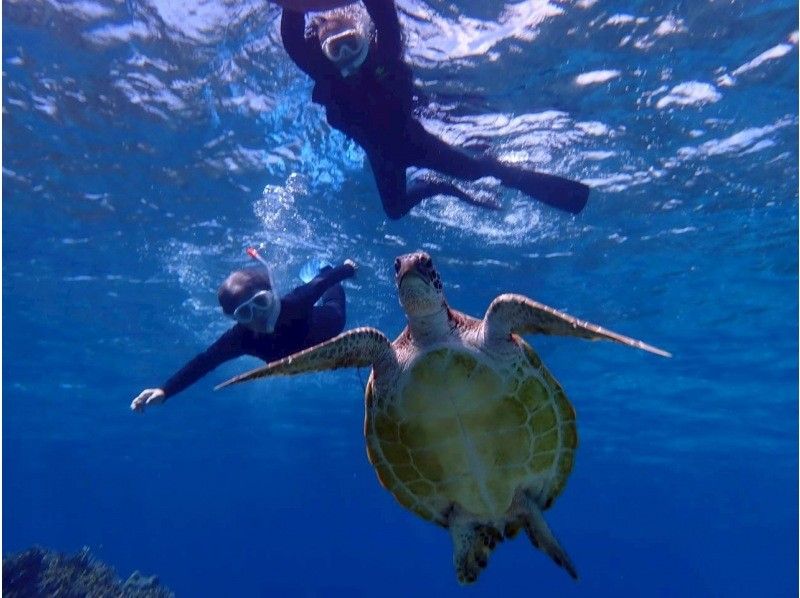 Polepolemarine385 のギャラリー