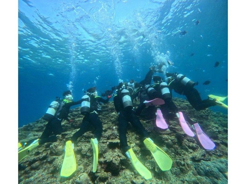 ダイビングショップめんそーれ(Okinawa diving mensore) のギャラリー