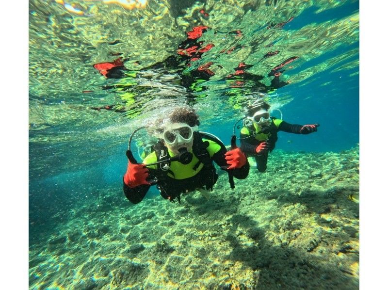 ダイビングショップめんそーれ(Okinawa diving mensore) のギャラリー