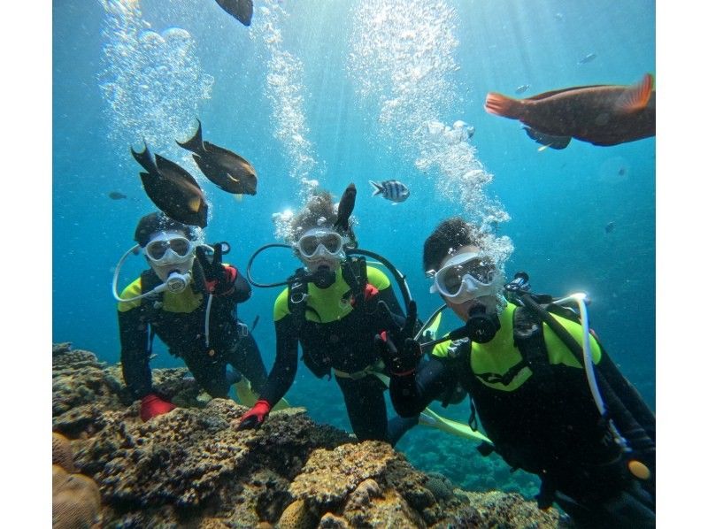 ダイビングショップめんそーれ(Okinawa diving mensore) のギャラリー