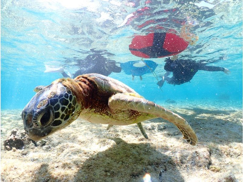 Nami宮古島 のギャラリー