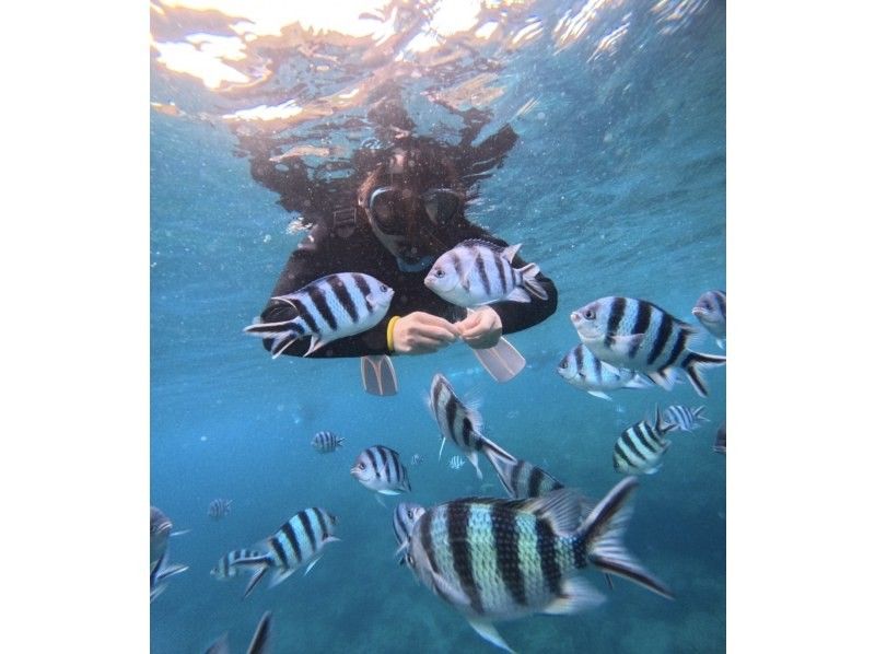 Bal field（バルフィールド） のギャラリー