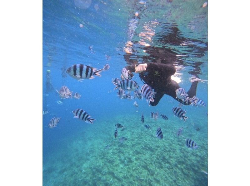 Bal field（バルフィールド） のギャラリー