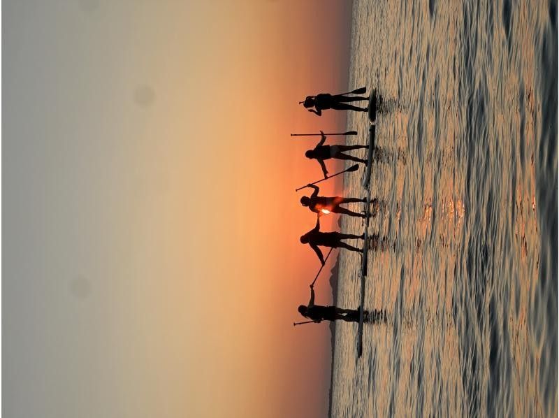 まるまりん のギャラリー