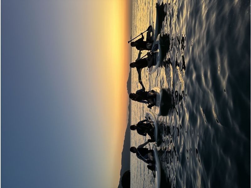 まるまりん のギャラリー