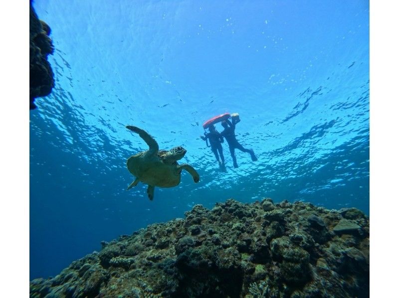 Tomorl のギャラリー