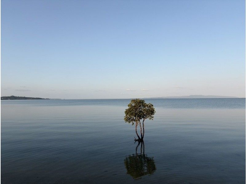 Tomorl のギャラリー