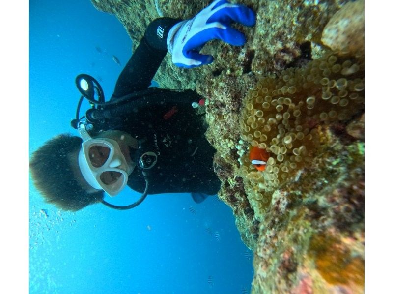 Bal field（バルフィールド） のギャラリー