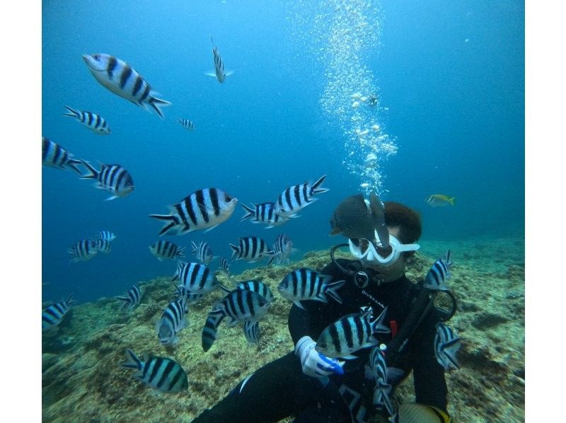 Bal field（バルフィールド） のギャラリー