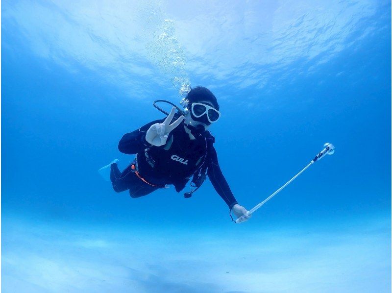 海遊びネジ のギャラリー
