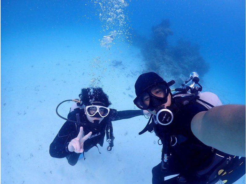 海遊びネジ のギャラリー