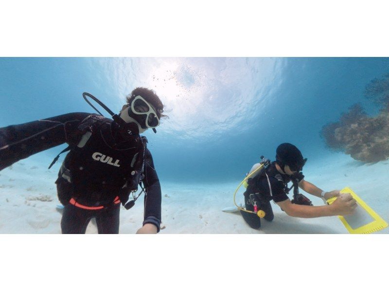 海遊びネジ のギャラリー