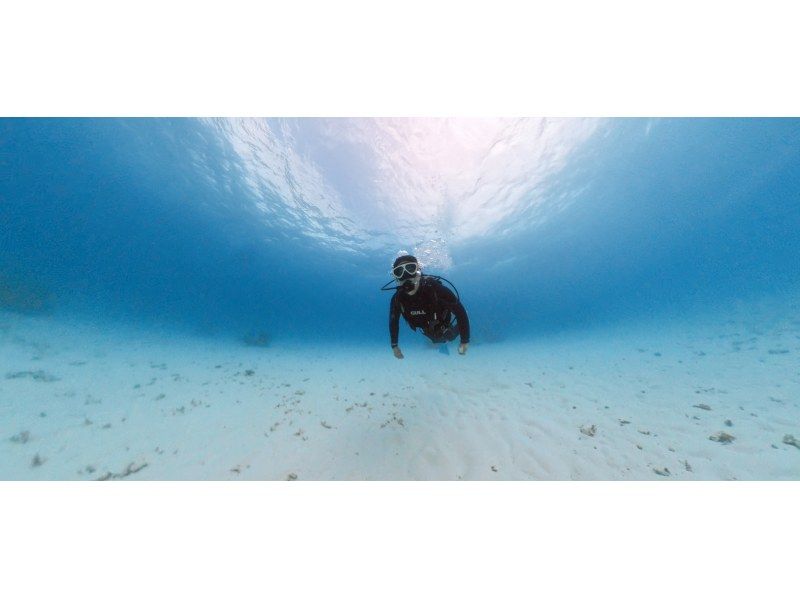 海遊びネジ のギャラリー