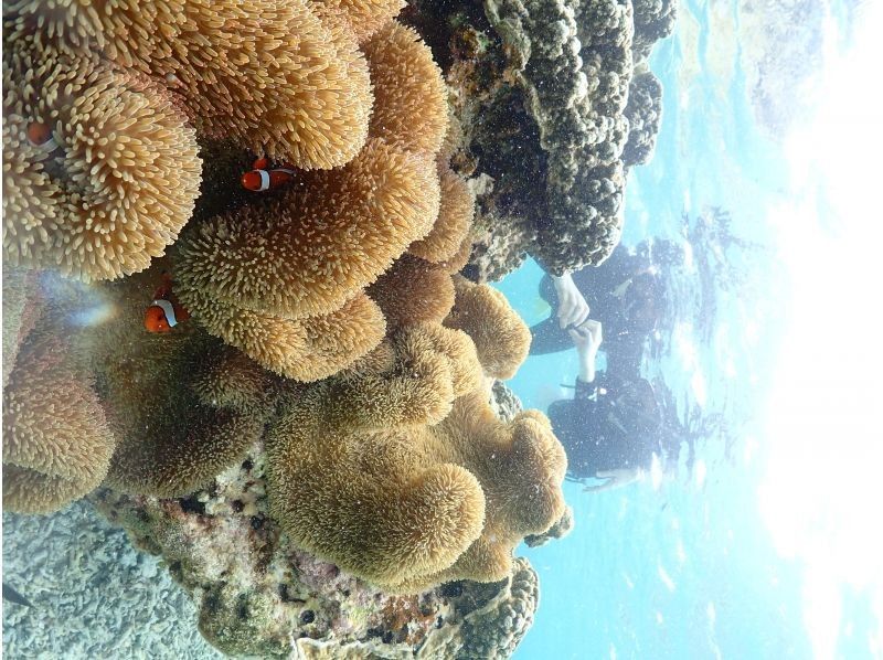 Nami宮古島 のギャラリー