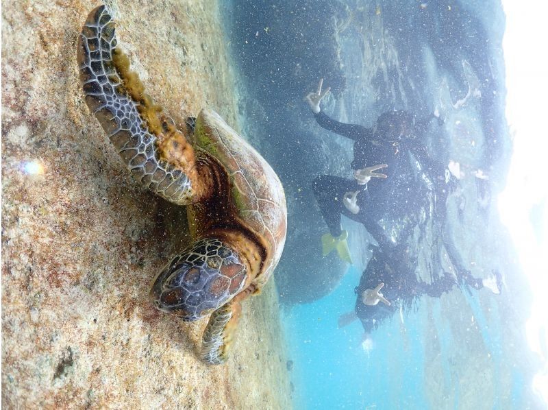 Nami宮古島 のギャラリー