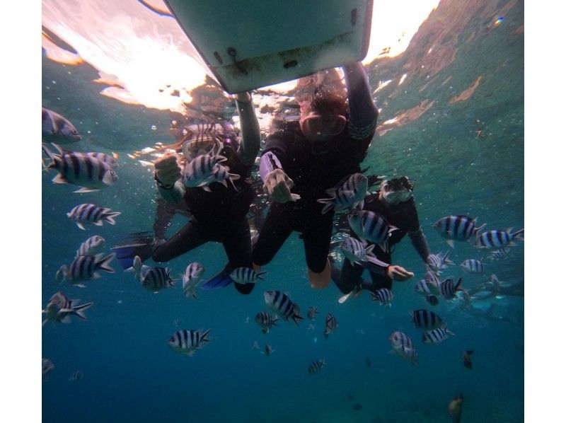 ダイビングショップ リョウ のギャラリー