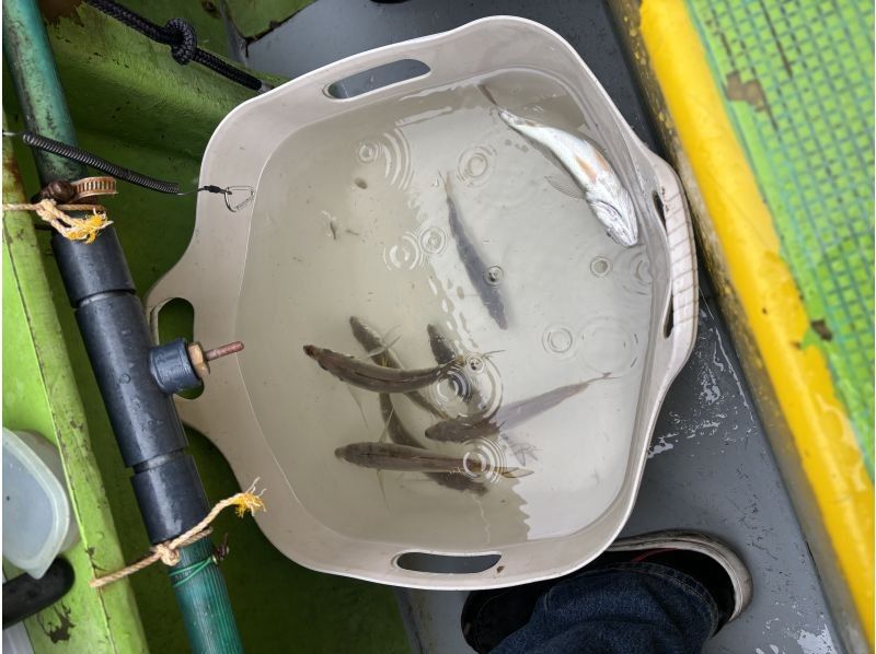 第２鴨下丸 のギャラリー