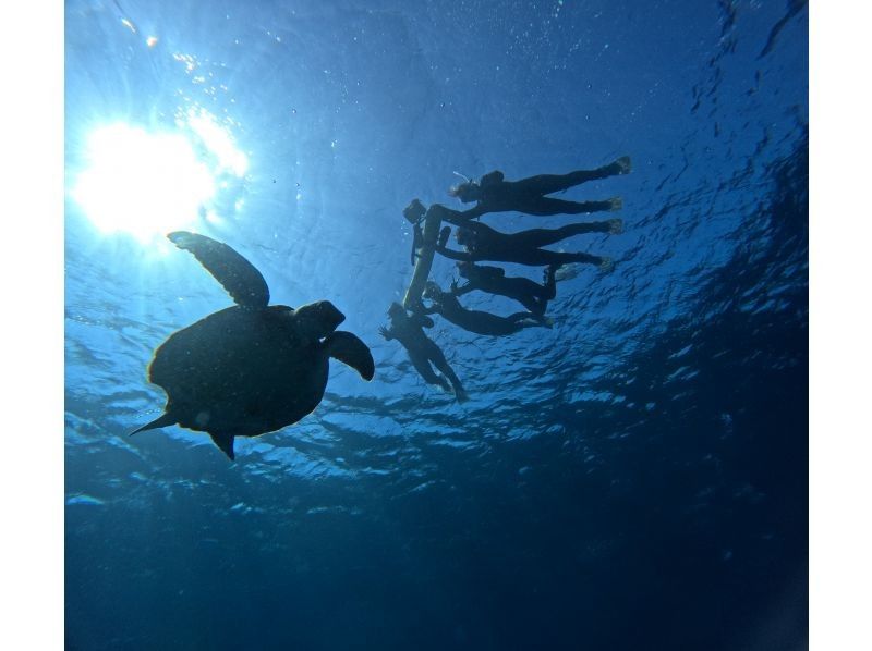 Tomorl のギャラリー