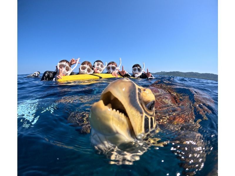 Tomorl のギャラリー