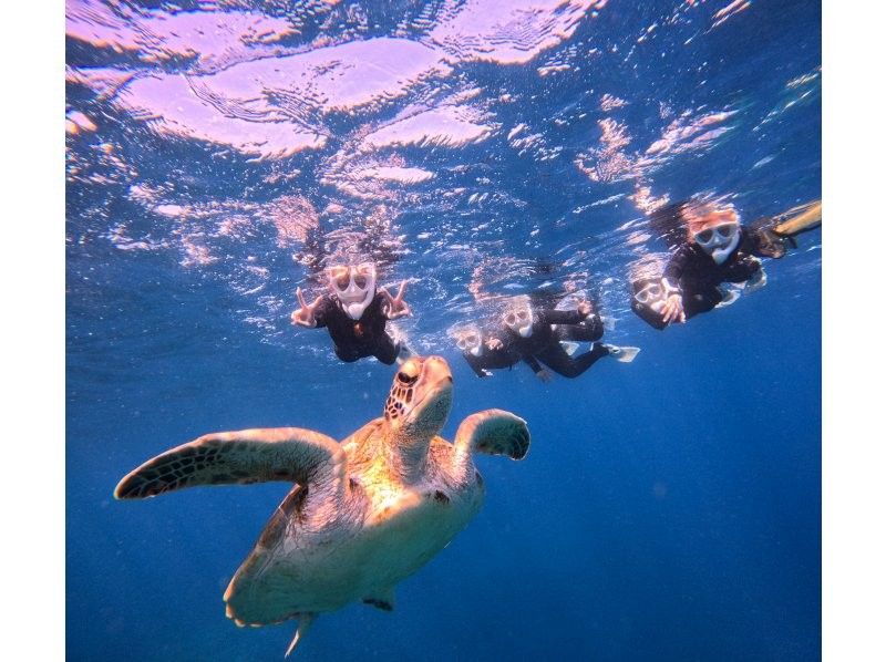 Tomorl のギャラリー