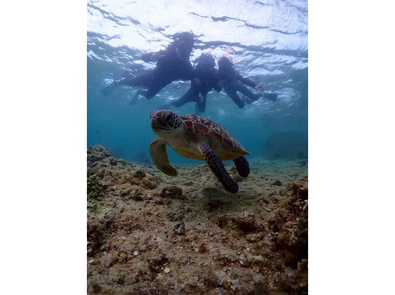 宮古島 ADVENTURE PiPi（ピピ） のギャラリー