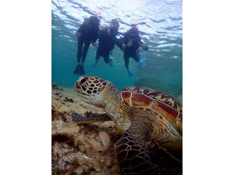 宮古島 ADVENTURE PiPi（ピピ） のギャラリー