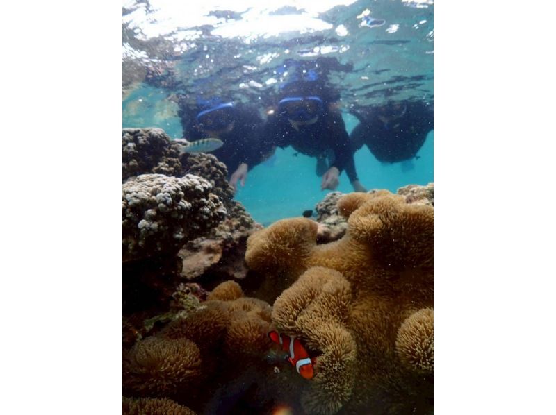 宮古島 ADVENTURE PiPi（ピピ） のギャラリー