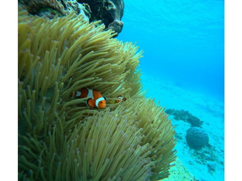 CHURA宮古島 のギャラリー