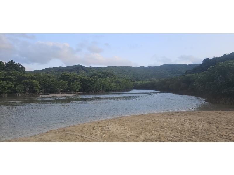 まるまりん のギャラリー