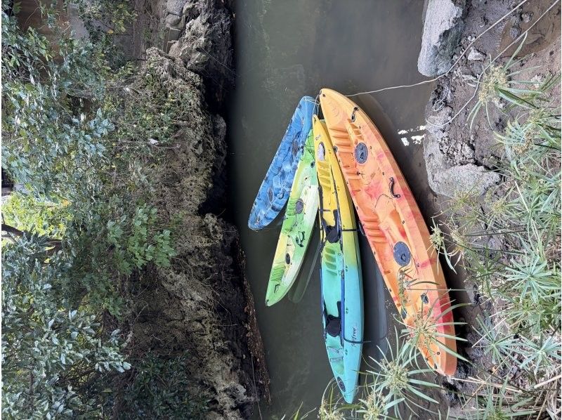 sound kayak のギャラリー