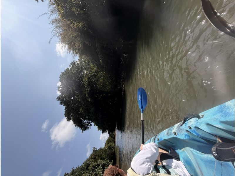 sound kayak のギャラリー