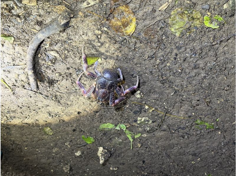 SUNSHINE MARIN 宮古島 のギャラリー