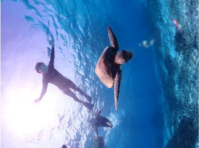 ちゃこたび のギャラリー