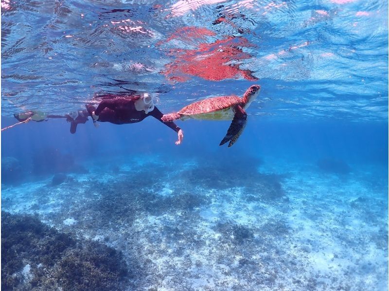 ちゃこたび のギャラリー