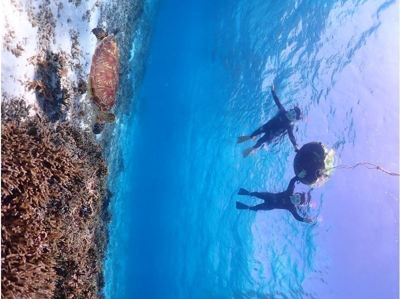 ちゃこたび のギャラリー