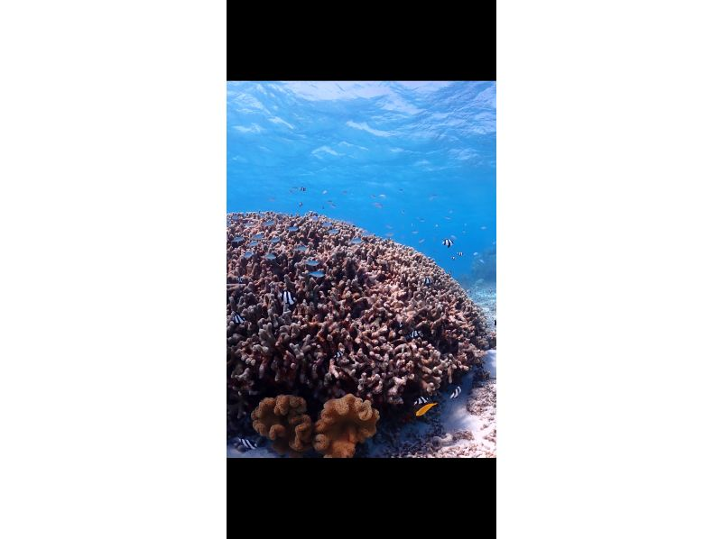 ちゃこたび のギャラリー