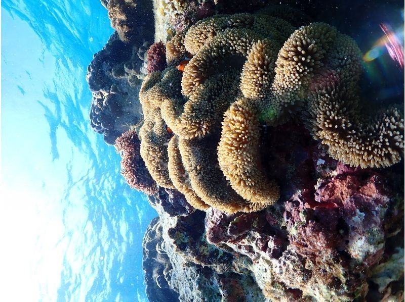 ちゃこたび のギャラリー