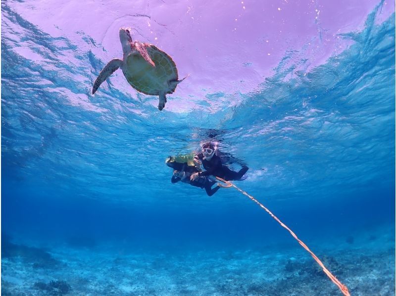 ちゃこたび のギャラリー