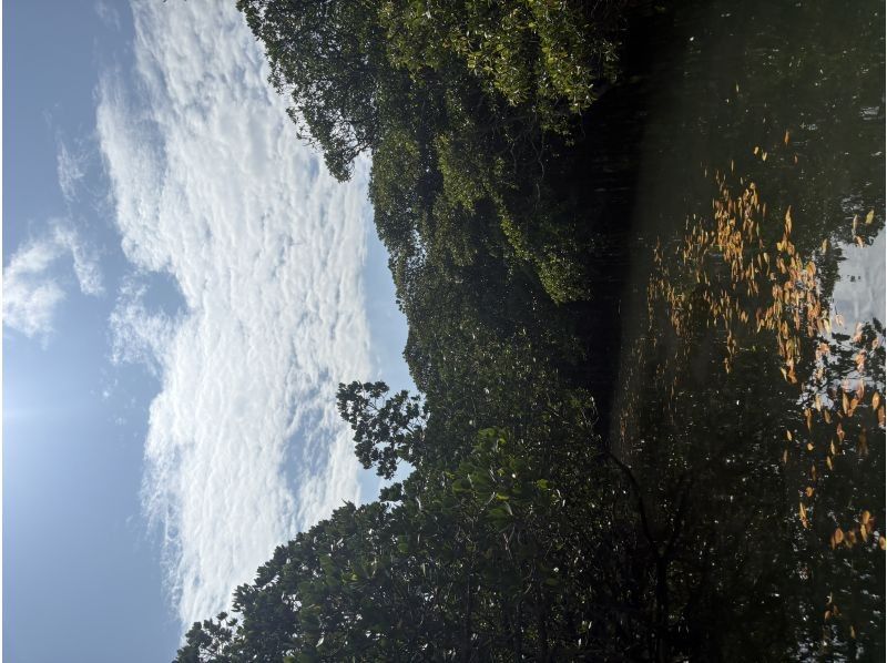 石垣島 海ツアー のギャラリー