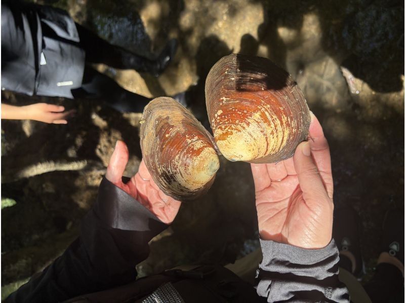 石垣島 海ツアー のギャラリー