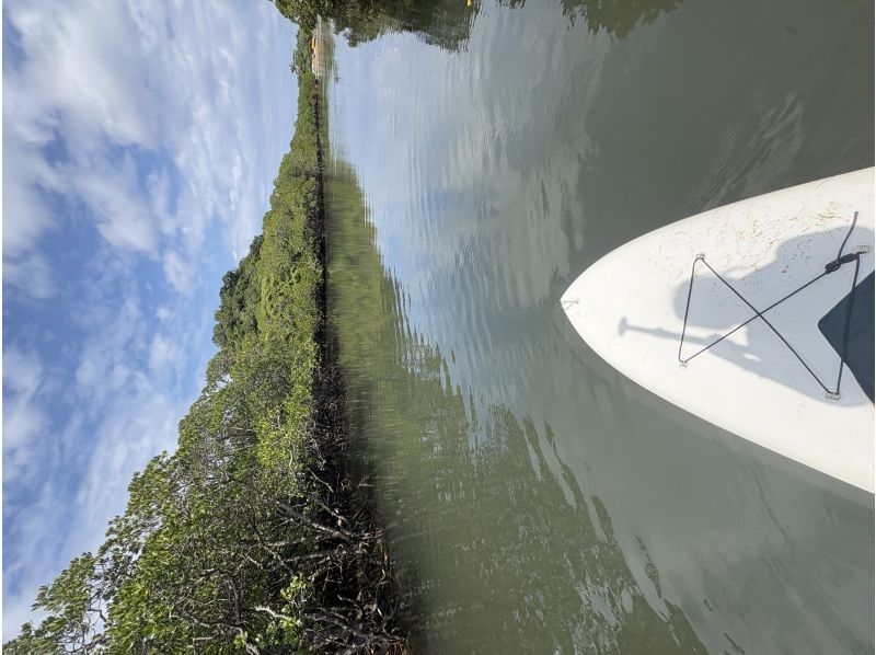 石垣島 海ツアー のギャラリー