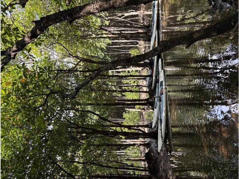 石垣島 海ツアー のギャラリー