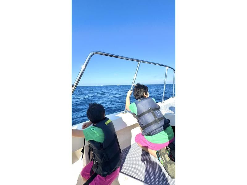 沖縄ダイビングショップ　アイランドメッセージ のギャラリー