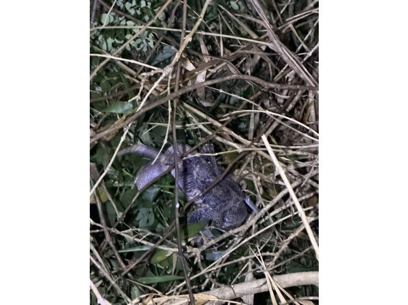 SUNSHINE MARIN 宮古島 のギャラリー