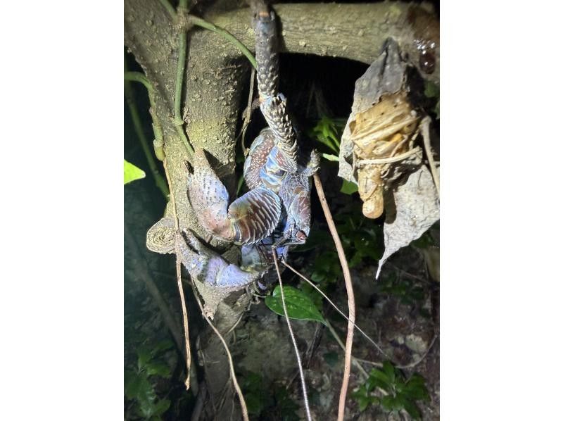 SUNSHINE MARIN 宮古島 のギャラリー