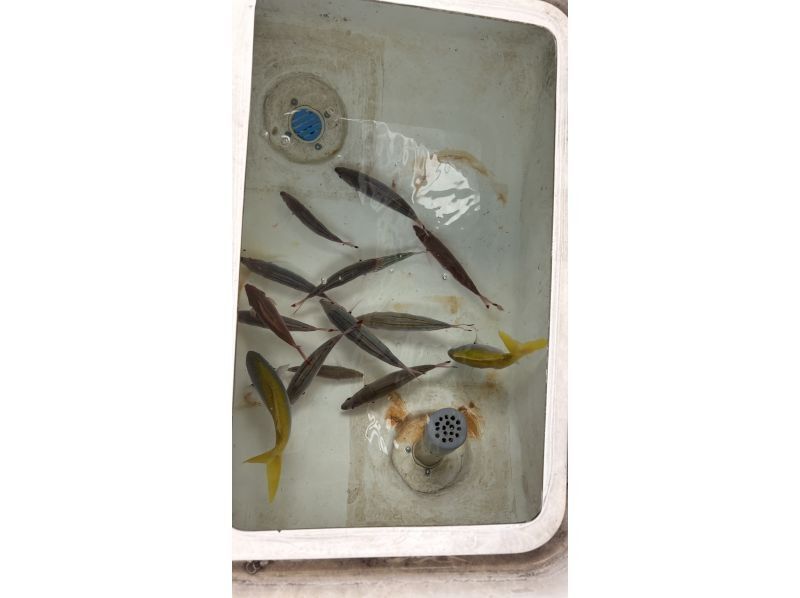 Fishing Boat Ren のギャラリー