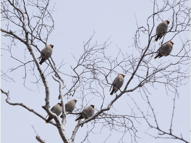 株式会社日光自然博物館 のギャラリー